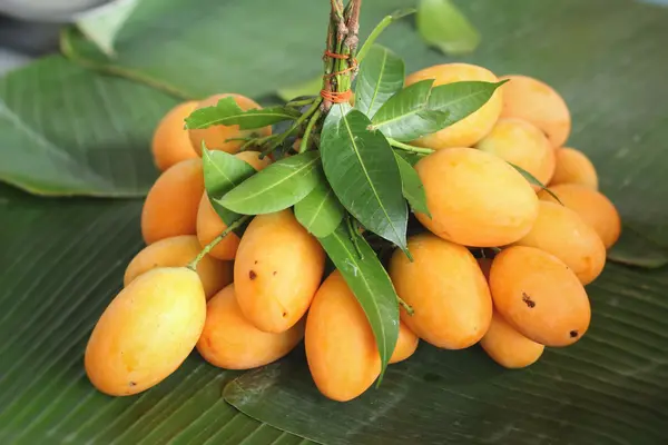 Ciruela mariana - fruta asiática —  Fotos de Stock