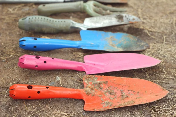 Shovel and fork for gardening on soil background — Stock Photo, Image