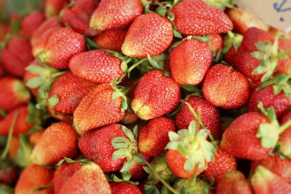 Fragole fresche al mercato — Foto Stock