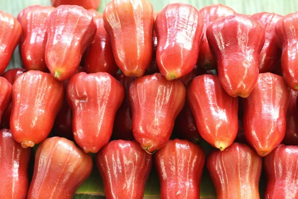 A lot of rose apple — Stock Photo, Image