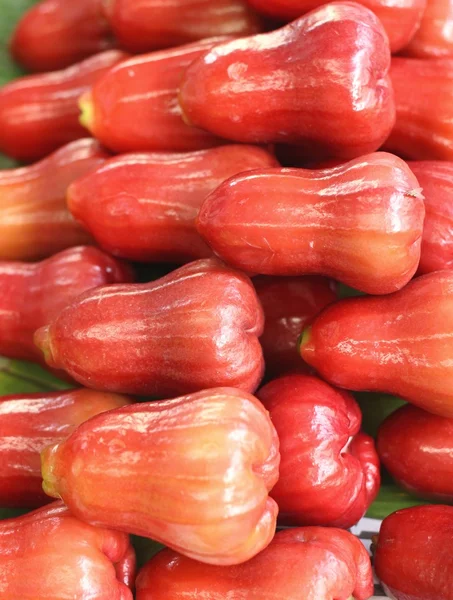 Spousta rose apple — Stock fotografie