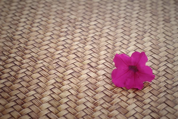 Rózsaszín petunias virágok a fa háttér — Stock Fotó