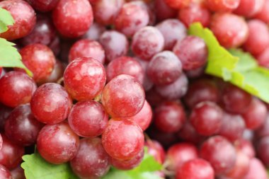 Markette taze üzüm