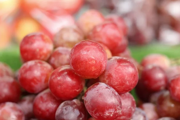 Frische Trauben auf dem Markt — Stockfoto