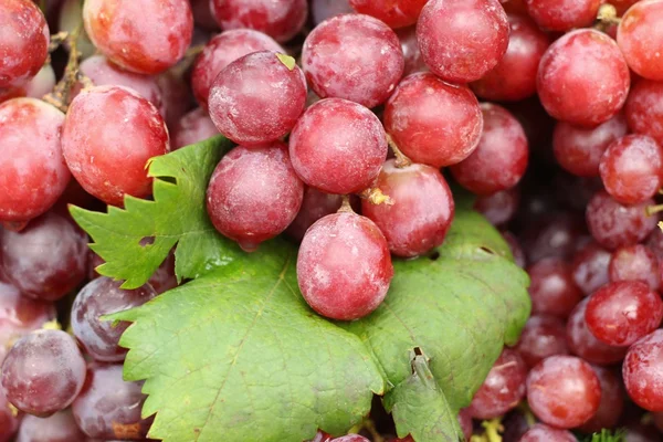 Frische Trauben auf dem Markt — Stockfoto