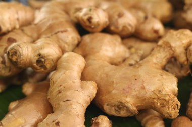 Zencefil kökü piyasada