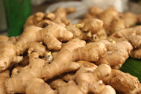 Racine de gingembre sur le marché — Photo