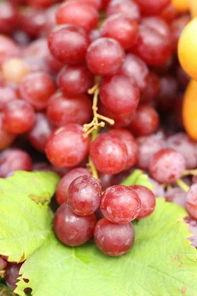 Frische Trauben auf dem Markt — Stockfoto