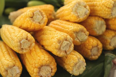 Markette taze Mısır