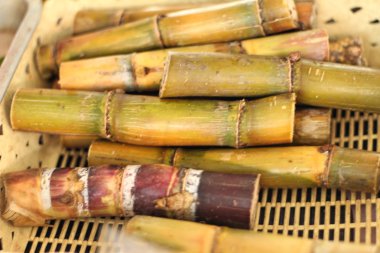 Piyasada kırmızı kamışı