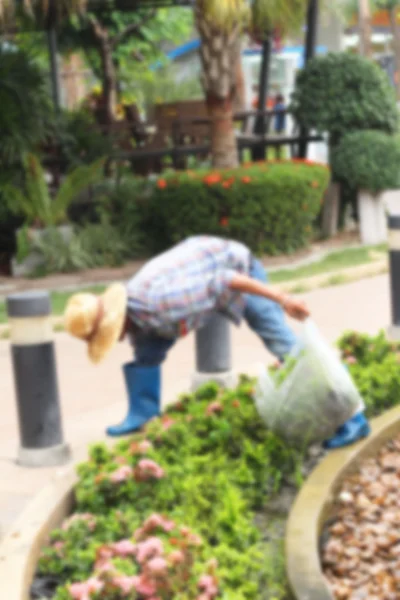 Hombres borrosos plantan árboles en el jardín . — Foto de Stock