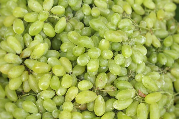 Raisins verts sur le marché — Photo