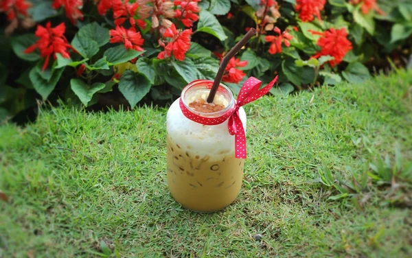 Café helado con la naturaleza — Foto de Stock