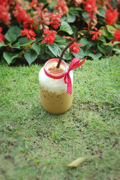 Café helado con la naturaleza — Foto de Stock