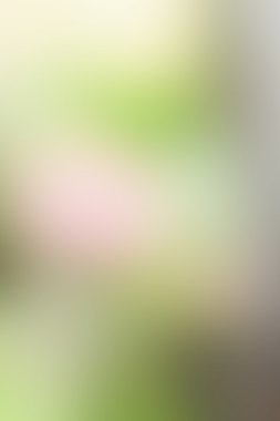 renkli arka plan bulanık ve doku