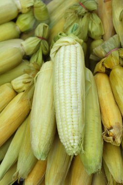 Markette taze Mısır