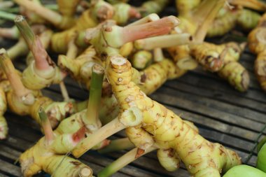 piyasada zencefil kökü