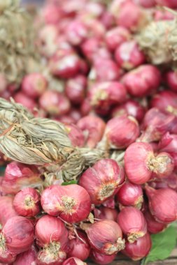 soğancık - Pazar Asya kırmızı soğan