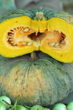 piyasada yeni sarı kabak