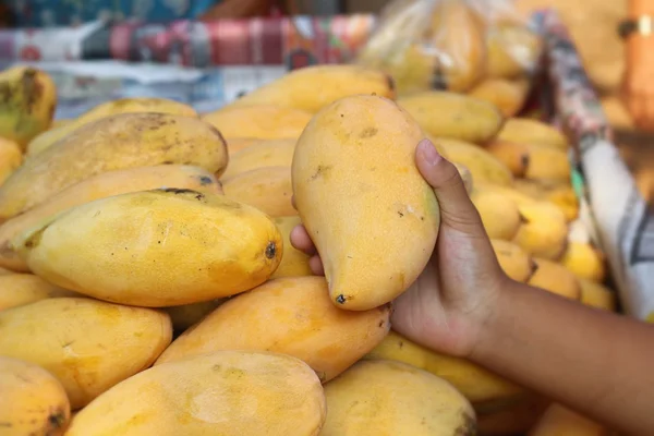 Mangofrüchte auf dem Markt — Stockfoto