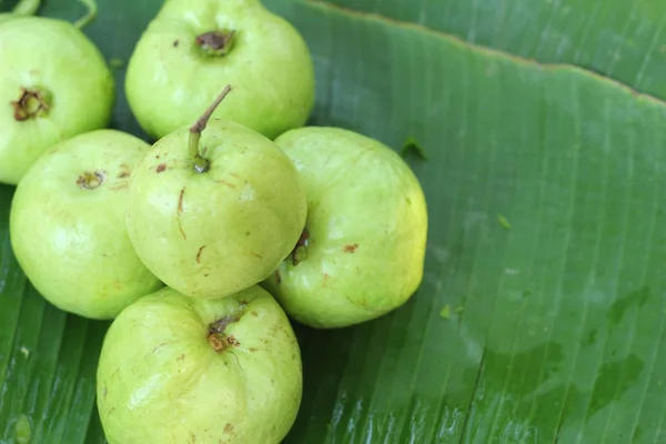 Guaven-Frucht auf dem Markt — Stockfoto