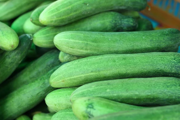 Fresh cucumber in the market — Stock Photo, Image