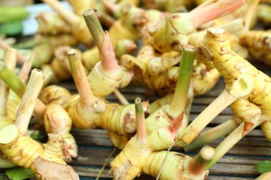 piyasada zencefil kökü