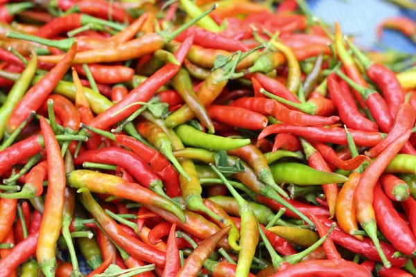 Fresh chili in the market — Stock Photo, Image