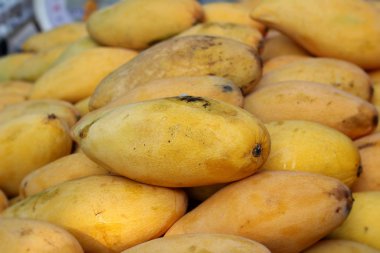 Mango meyve piyasada