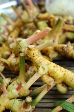 piyasada zencefil kökü