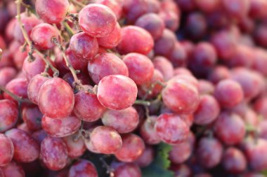 Markette taze üzüm