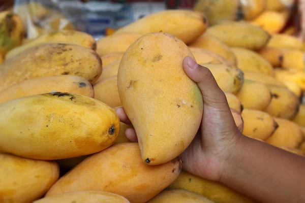 Fruta de mango en el mercado — Foto de Stock