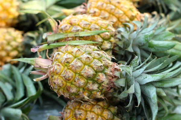 Fresh pineapple in the market — Stock Photo, Image