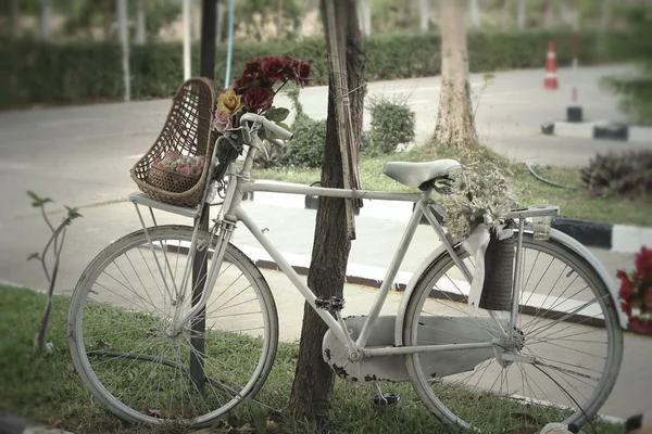 Vintage bicycle in the park — Stock Photo, Image