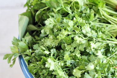 taze sebze - kişniş piyasada.