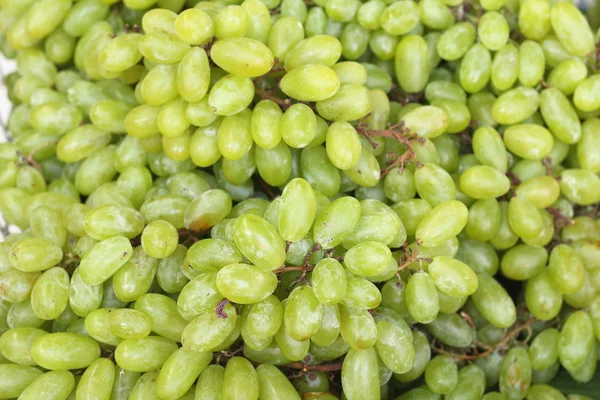 Raisins verts sur le marché — Photo