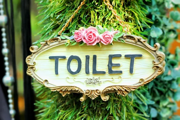 Symbolizują toalety na tle drewna — Zdjęcie stockowe