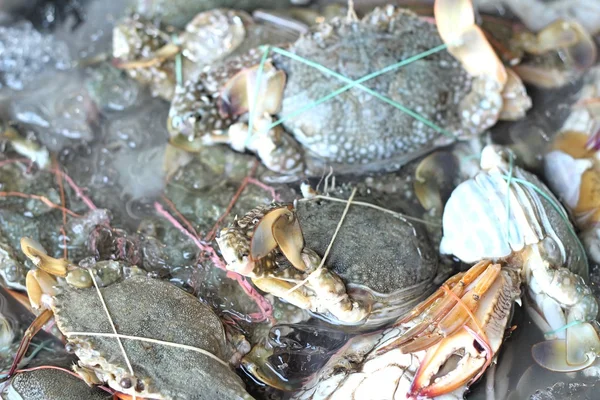 Fresh crab in the market — Stock Photo, Image