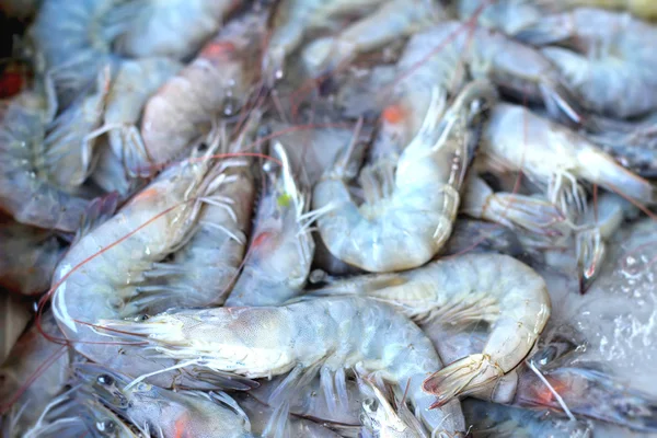 Udang segar di pasar — Stok Foto