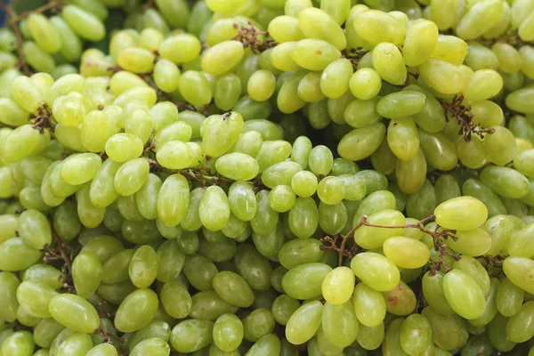 Green grapes at the market — Stock Photo, Image