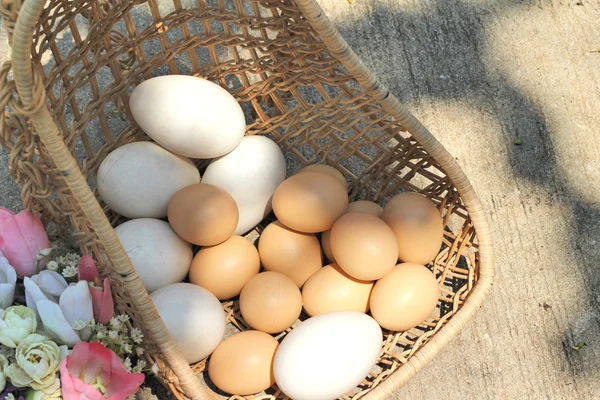 Huevos de Pascua y huevos blancos estilo vintage —  Fotos de Stock