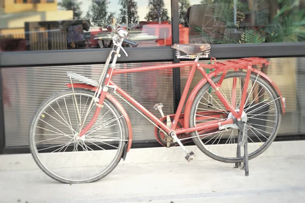 Vintage bicycle in the park — Stock Photo, Image