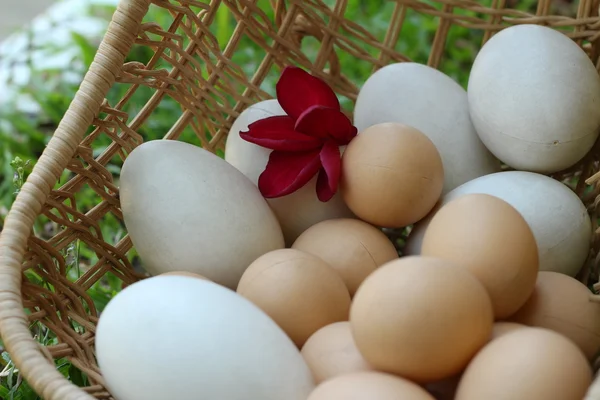 Huevos de Pascua y huevos blancos estilo vintage —  Fotos de Stock