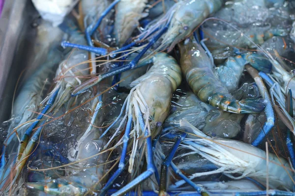 Udang segar di pasar — Stok Foto