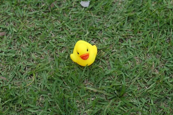 Lovely of yellow rubber duck — Stock Photo, Image