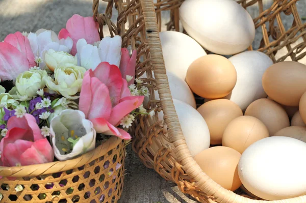 イースターの卵と白い卵造花 — ストック写真