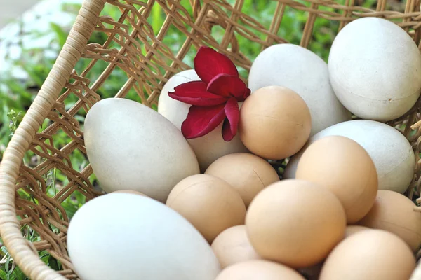 Easter eggs and white eggs vintage style — Stock Photo, Image