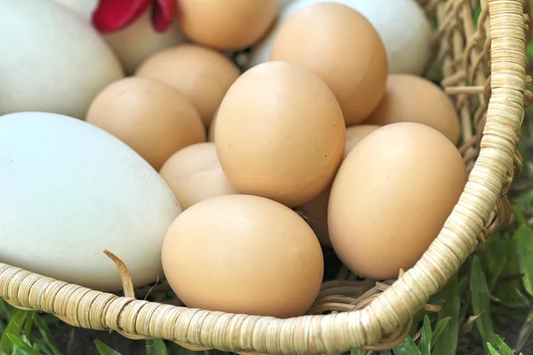 イースターの卵と白い卵ビンテージ スタイル — ストック写真