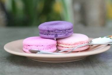 Fransızca macaroons çok renkli lezzetlidir