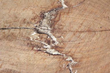 Klasik kahverengi ahşap arkaplan dokusu